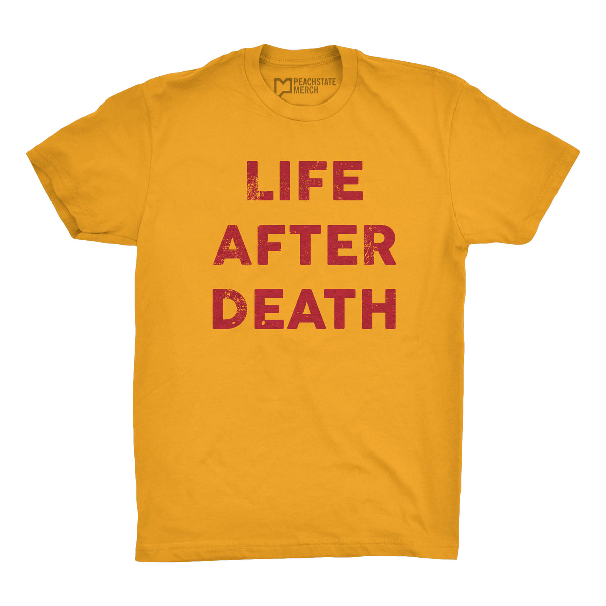 LIFE AFTER DEATH